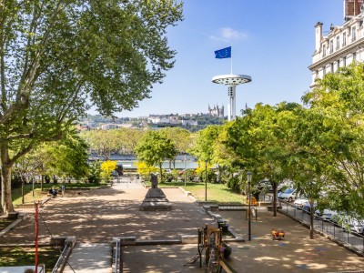 APPARTEMENT T6 A VENDRE - LYON 7EME ARRONDISSEMENT - 197 m2 - 1100000€